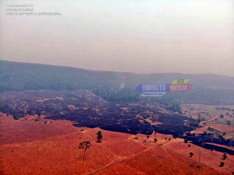Homem é preso por causar incêndio que matou mais de 50 Bovinos