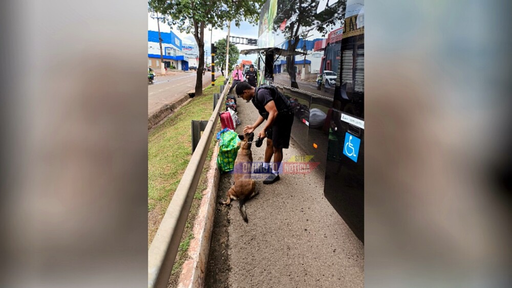 Polícia Militar apreende 22 kg de maconha em ônibus na BR-364, em Cacoal