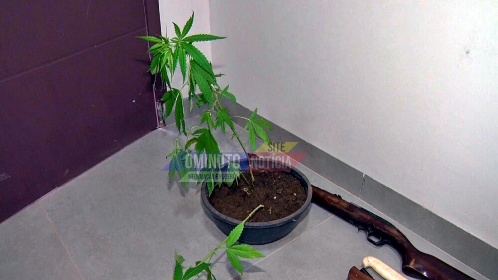 Polícia Militar fecha boca de fumo na zona rural de Cacoal