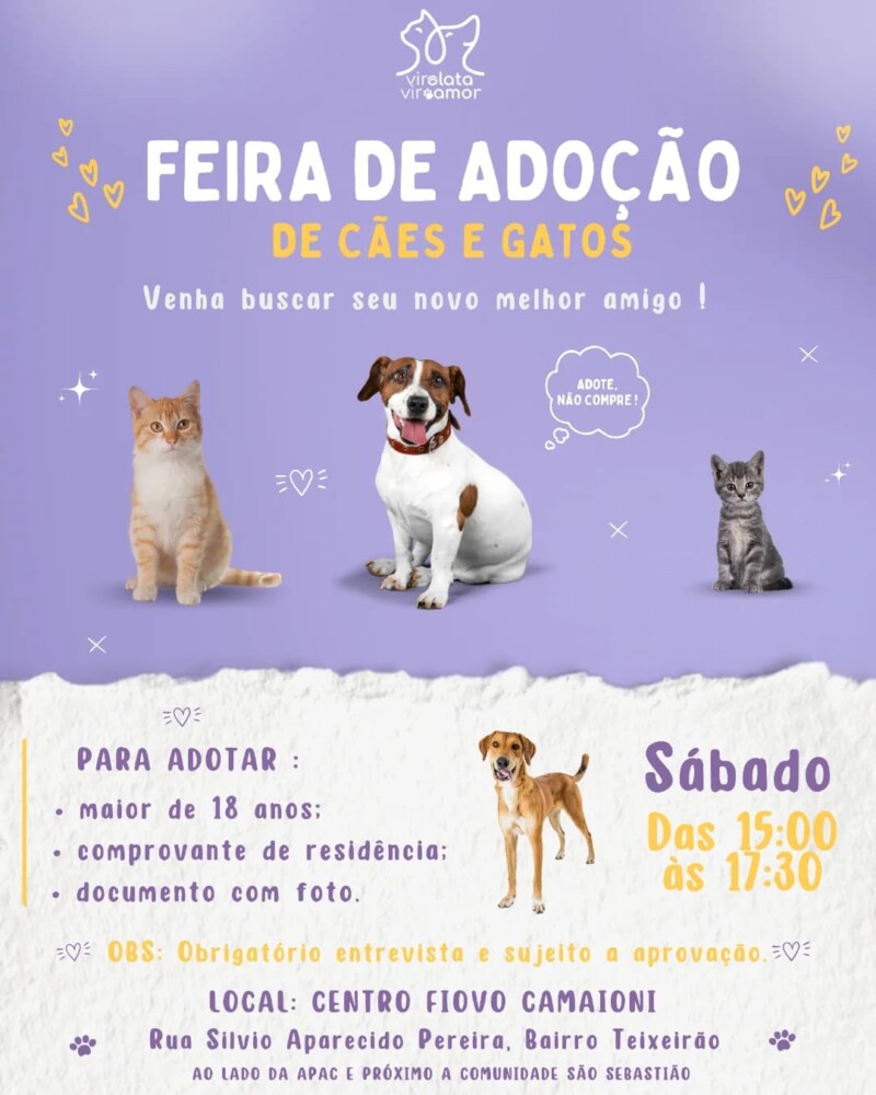 Cães e Gatos no Abrigo Vira Lata Vira Amor Esperam por Adoção