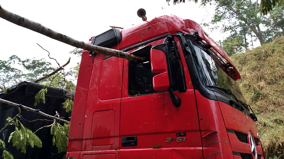 BR-364 fica interditada por mais de 3 horas, após queda de árvore que atingiu dois veículos, entre Jaru e Ariquemes, RO