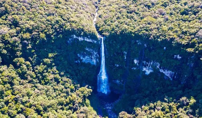 Veja o local que morreu jovem advogada de Rondônia