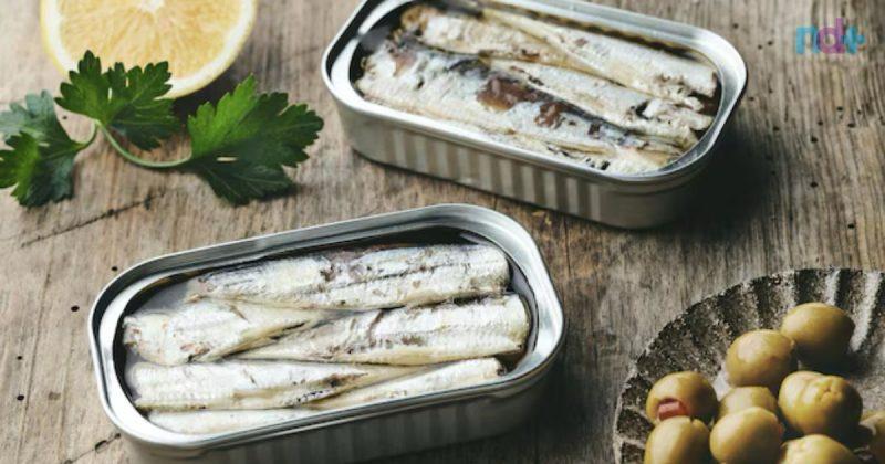 Decisão de zerar alíquota de importação da sardinha em conserva ameaça indústria pesqueira, diz presidente da FPA