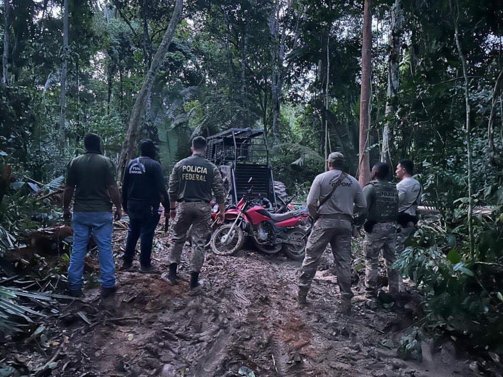 Operação Ribeirão combate desmatamento ilegal
