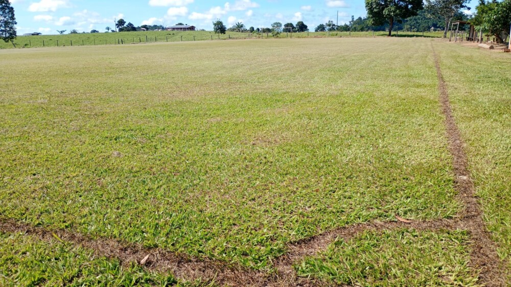 Veja os times classificados para a Semi-Final da Taça Cacoal Selva Park