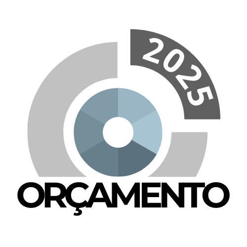 Orçamento de 2025 será sancionado até esta sexta-feira (11), afirma Simone Tebet