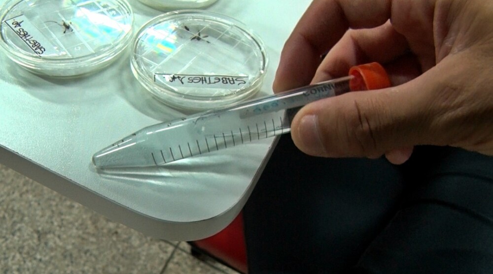 Profissionais cacoalenses de saúde recebem capacitação profissional