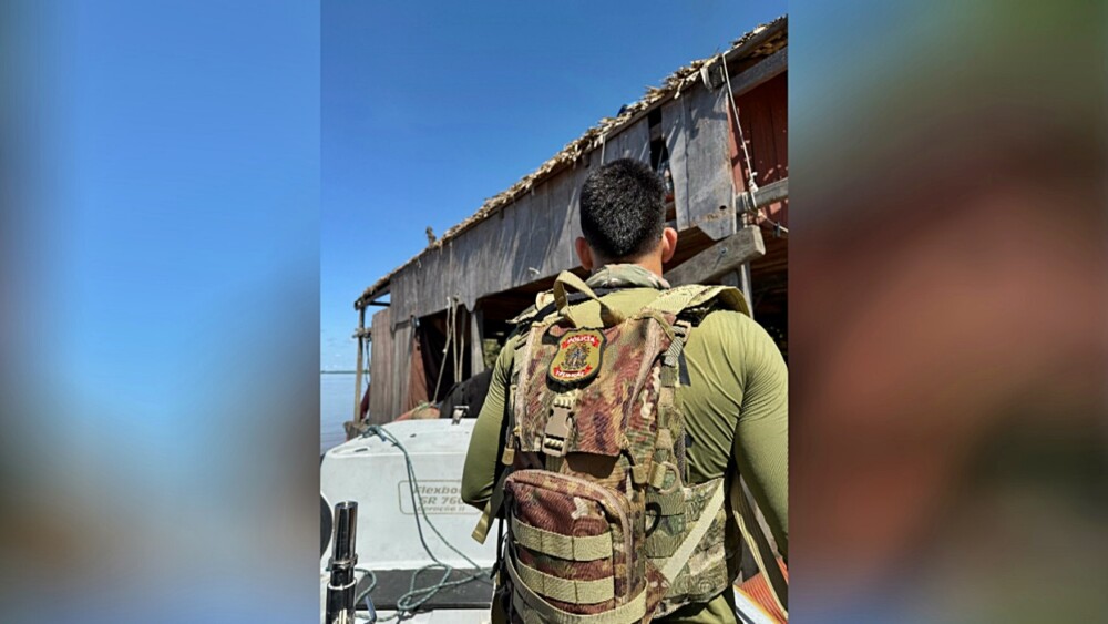 PF e Ibama combatem crimes ambientais em RO