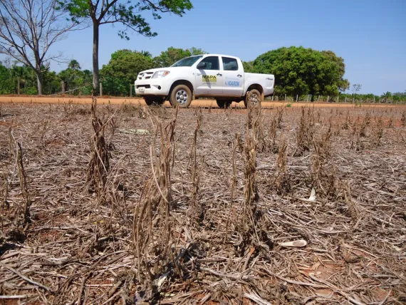 Governo do estado informa sobre o início do vazio sanitário da soja em Rondônia