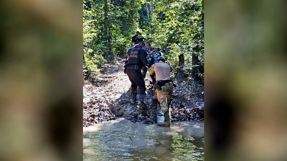 PF deflagra operação contra crimes ambientais em Terra Indígena em Rondônia