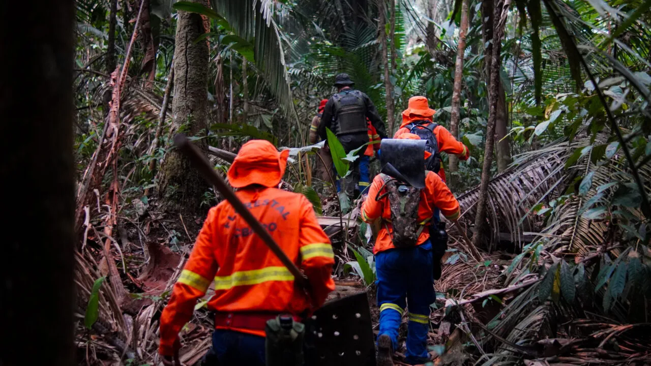 Rondônia constrói cenário mais seguro e preparado para combate a incêndios florestais em 2025
