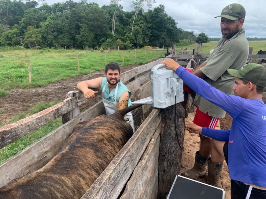 Projeto de melhoria da eficiência reprodutiva fortalece bovinocultura leiteira em Rondônia