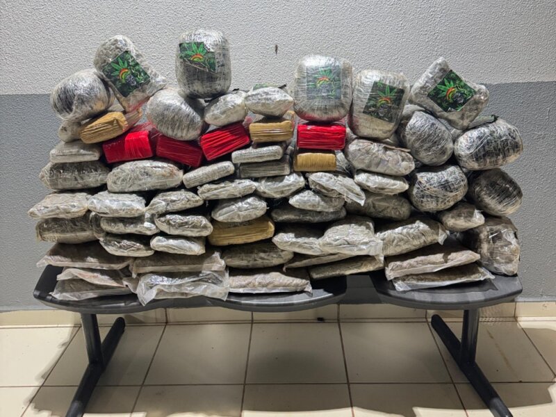 Motociclista abandona carga e PM apreende quase 60 quilos de drogas na BR-364