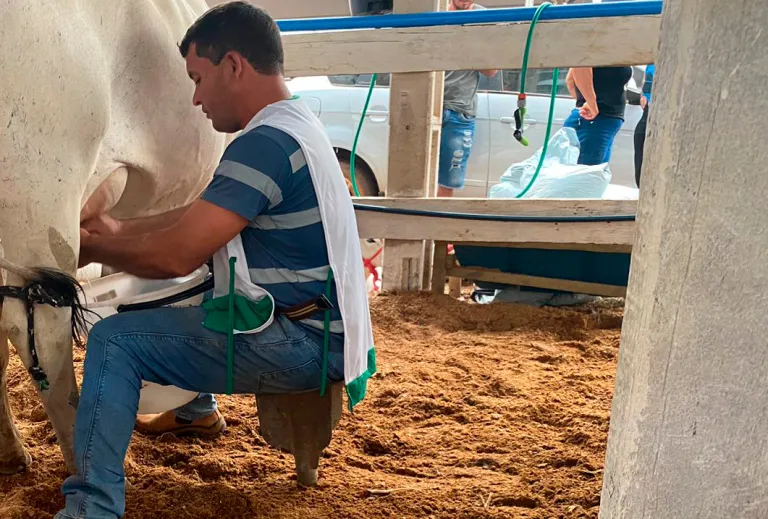 Concurso Leiteiro valoriza produtores rurais e impulsiona pecuária em Cabixi