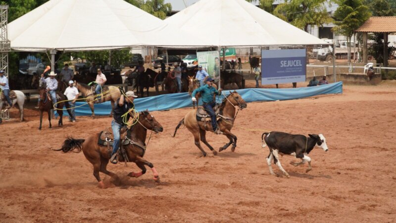Cirone assegura recursos para Circuito de Provas Equestres
