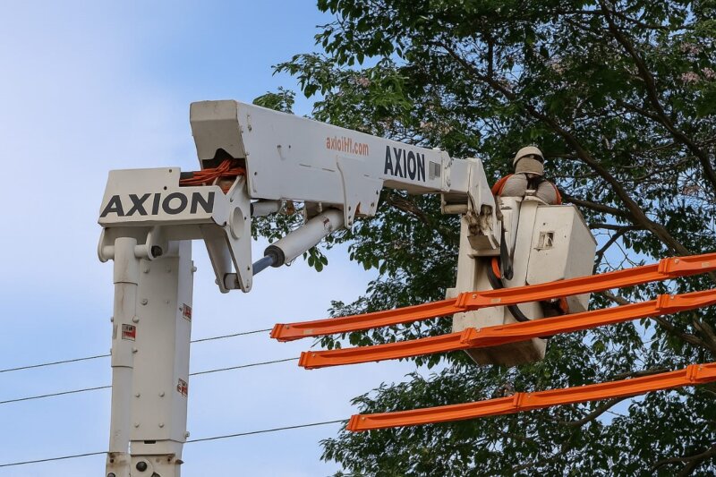 Energisa alerta sobre o risco do plantio de árvores perto da rede elétrica