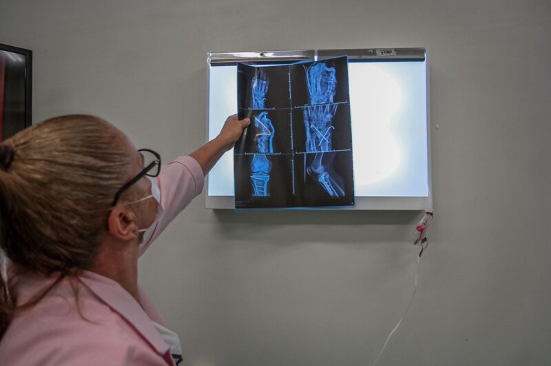 Redução nos atendimentos de saúde por acidentes de trânsito reflete ações integradas do governo de RO