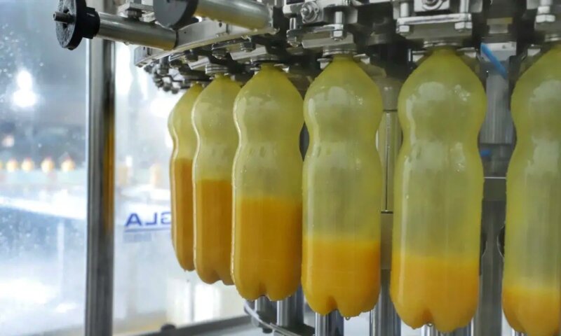 Da fazenda a impasse nos negócios: tarifaço de Trump deixa agronegócio em mau momento