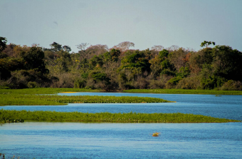 Rondônia dispara na produção agro e ao mesmo tempo é destaque na redução do desmatamento no Brasil