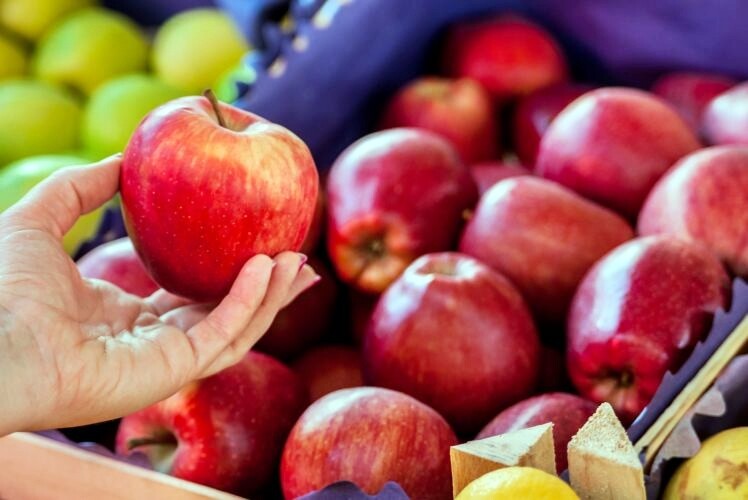 Agro já contabiliza prejuízos com o tarifaço imposto por Trump