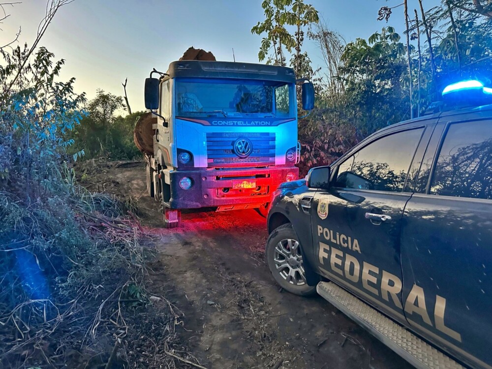 Operação Sentinelas da Amazônia prende três suspeitos por crimes ambientais em Rondônia
