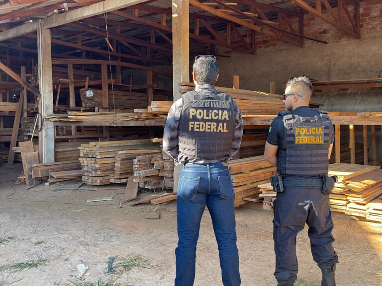 PF deflagra Operação Benevolentia contra extração ilegal de madeira em Terras Indígenas de Rondônia