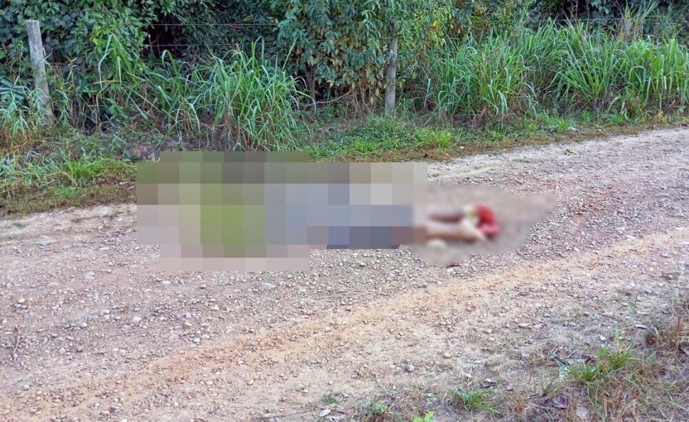 Corpo de homem é encontrado com marcas de tiros às margens de estrada em Presidente Médici, RO