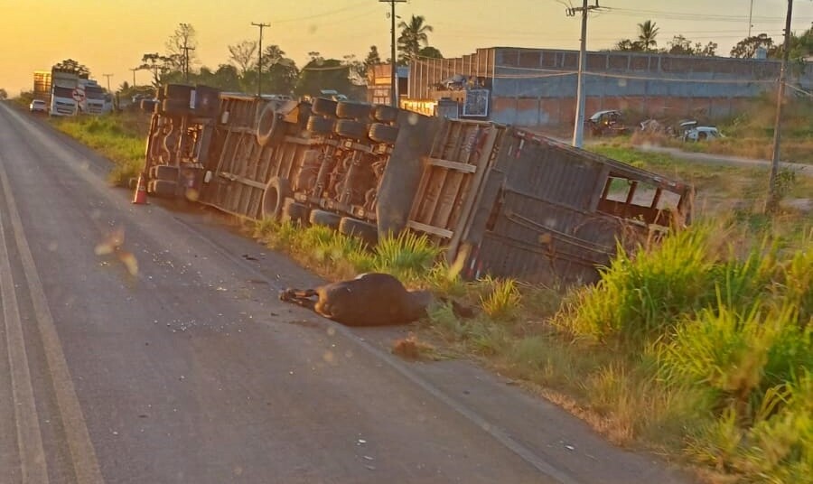 Caminhão boiadeiro tomba na BR-364 durante a madrugada em Cacoal