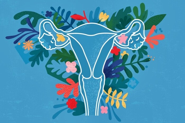 Ninfoplastia: entenda riscos de cirurgia íntima sem indicação