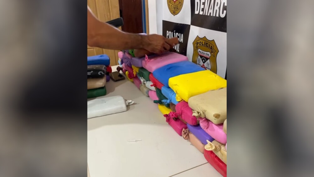 Polícia Civil apreende 171 kg de skunk em operação em RO