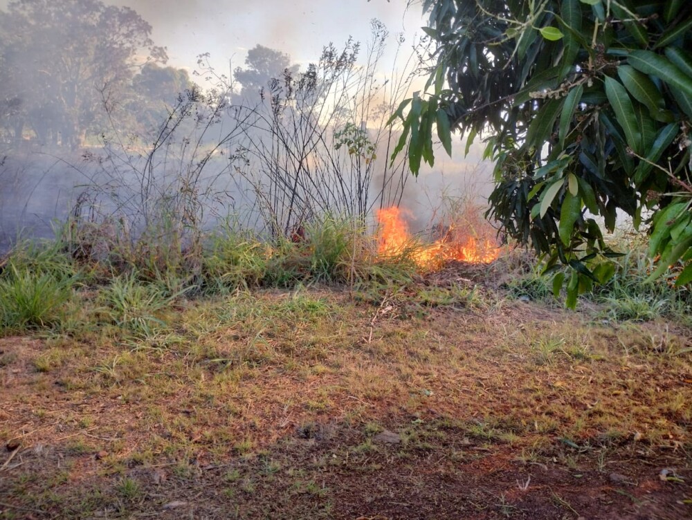 Incêndio de grandes proporções atinge o Riozinho e destrói 2 hectares de vegetação