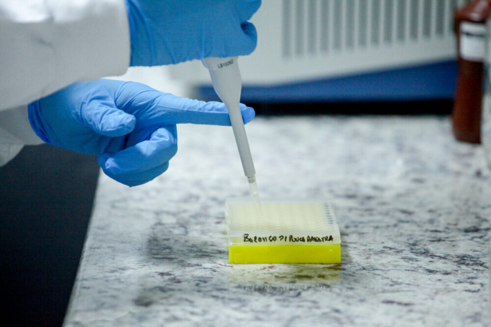 Buscas com DNA é fortalecida pelo governo de RO; mobilização nacional amplia chances de reencontros