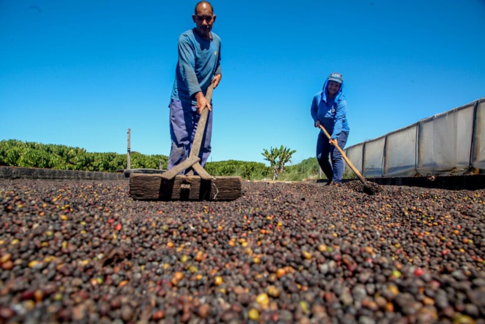 Inscrições para o 10º ConCafé são prorrogadas até o dia 29 de agosto