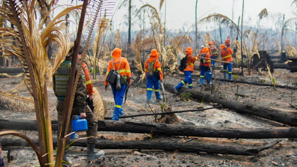 Rondônia alcança redução histórica nas queimadas e lidera ranking nacional