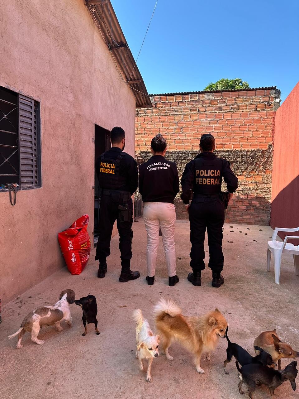 PF deflagra operação contra crimes sexuais infantojuvenil e maus-tratos a animais em Porto Velho/RO