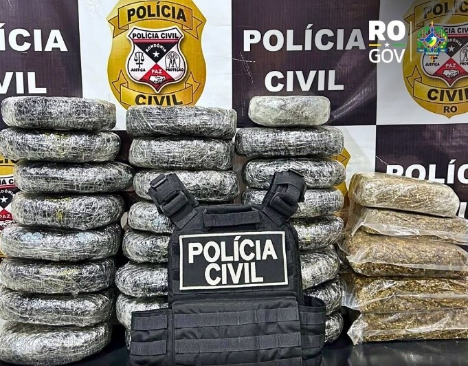 Polícia Civil apreende 30 quilos de maconha em São Miguel do Guaporé