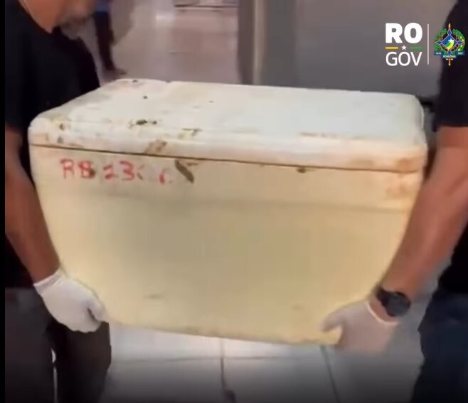 Tráfico internacional de drogas desarticulado em Porto Velho