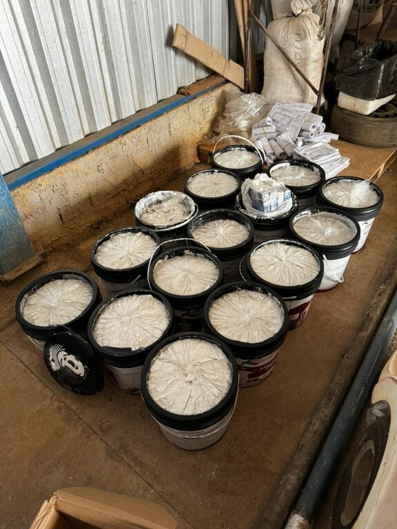 PF apreende 62,4kg de cocaína durante operação contra tráfico de drogas em Ariquemes/RO