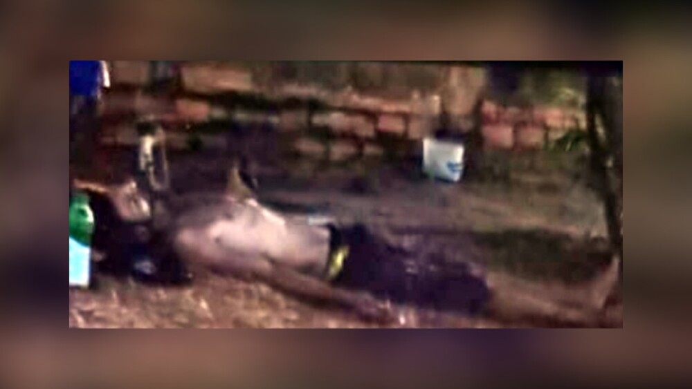 Homem é executado com tiros na cabeça no bairro Habitar Brasil, em Cacoal