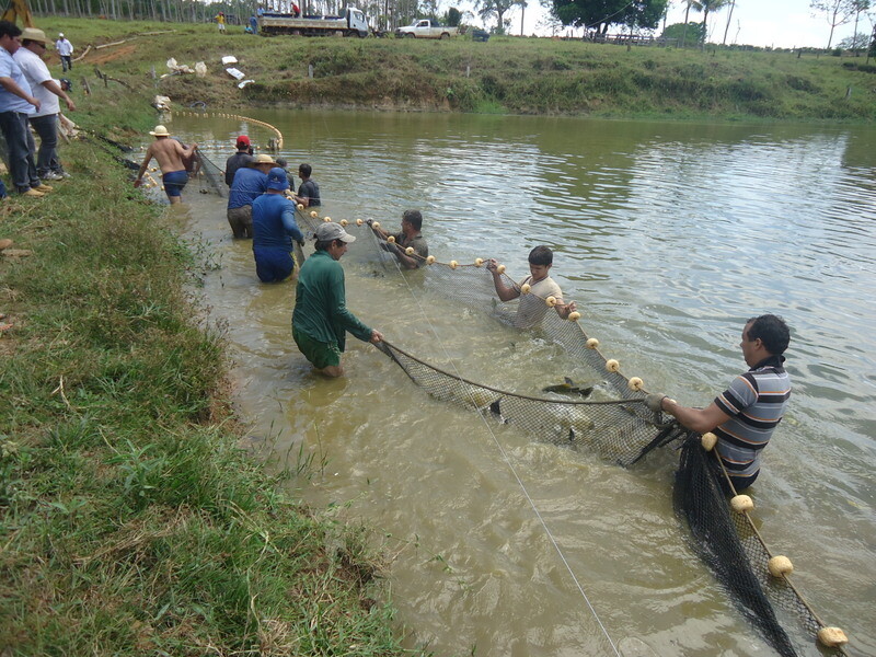 Com financiamento do governo de RO, projeto inovador do programa Centelha é destaque em artigo publicado