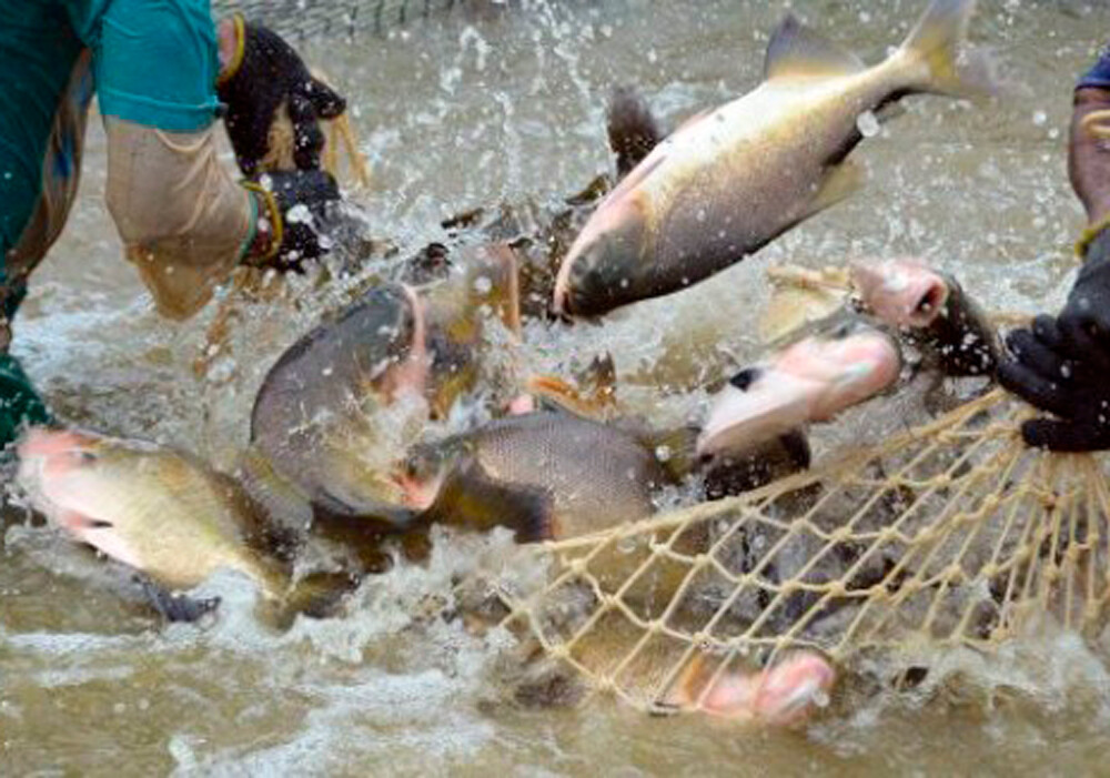 Governo de RO fortalece participação na Feira Internacional de Comércio e amplia atração de investimentos para o estado