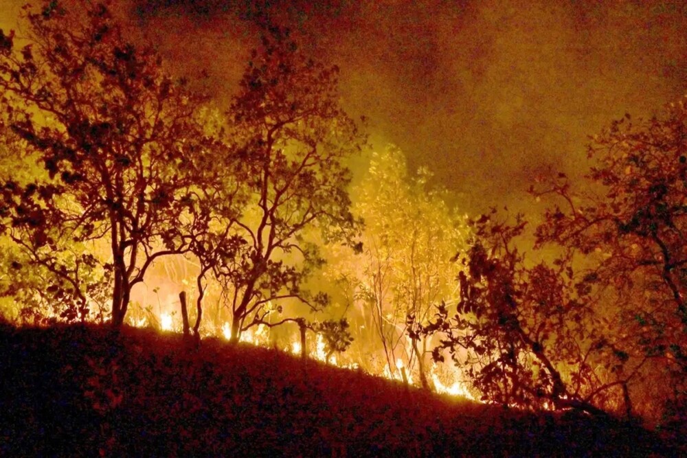 Após ano recorde, Brasil registra queda de 71,8% em áreas queimadas