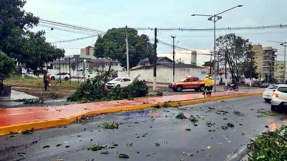 Temporal forte causa estragos em Cacoal, mas não há registro de pessoas feridas