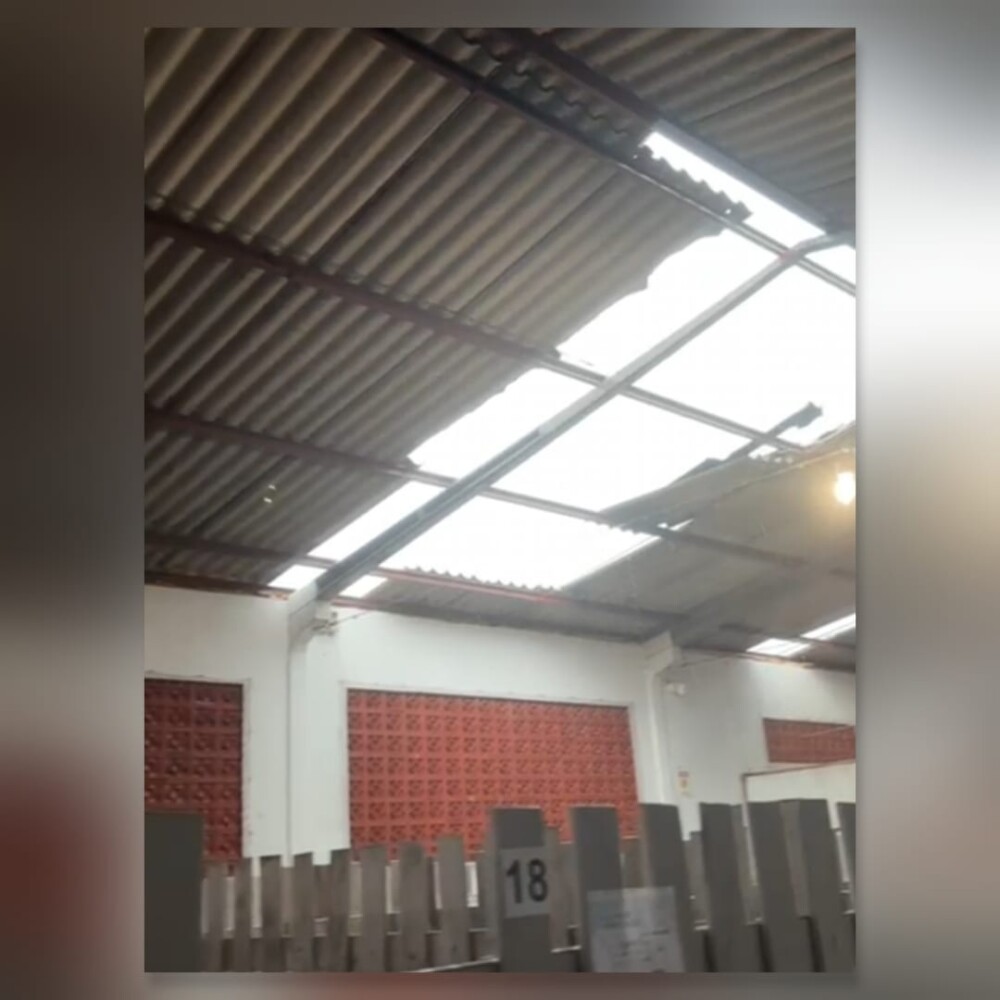 Forte temporal causa estragos em abrigo de animais em Cacoal