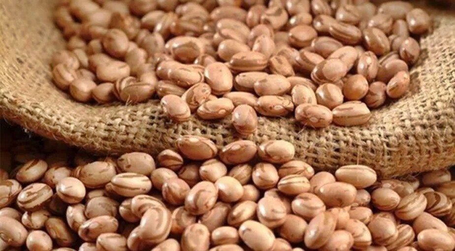 Feijão mais caro: saiba por que o preço disparou em setembro