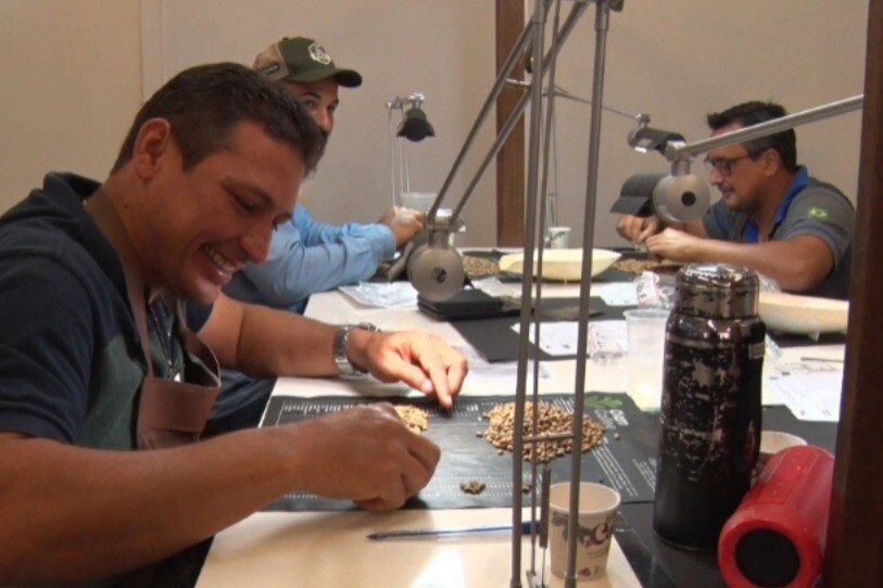 O Aroma da Vitória: Concurso de qualidade do Café Robusta Amazônico aquece Rondônia