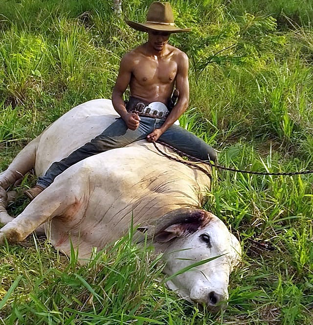 Jovem de 25 anos é encontrado morto pelo pai, em Theobroma, RO