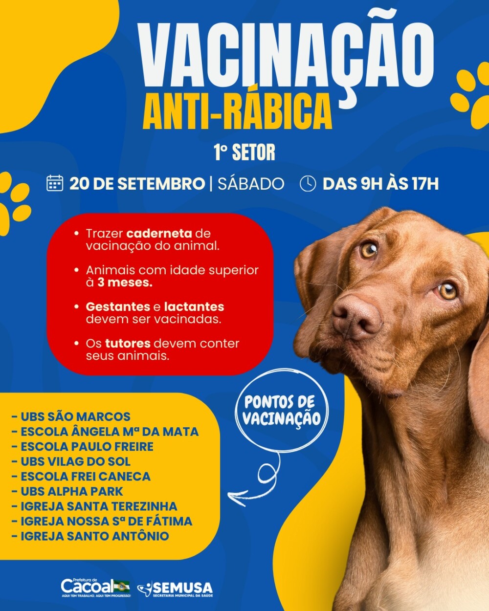 Vacinação antirrábica: Campanha no 1º setor reforça cuidados com cães e gatos em Cacoal, RO
