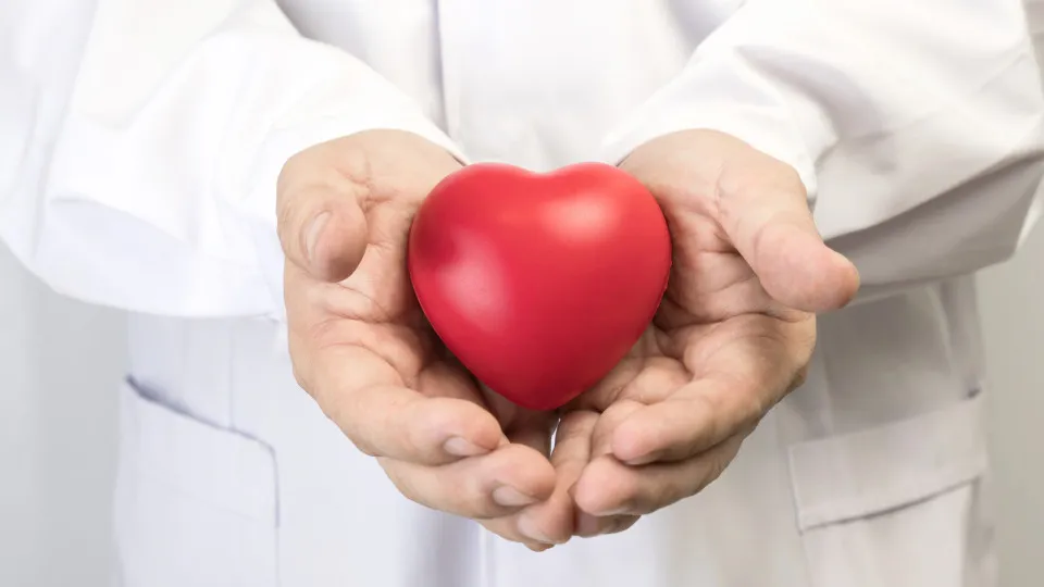 Alimentos simples e acessíveis que ajudam a fortalecer a saúde do coração