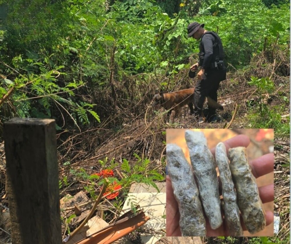 Polícia Militar apreende drogas após denúncia anônima em Cacoal